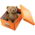 Archivační box Leitz Click-N-Store WOW A4 oranžová