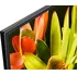 Televizor Sony 60" LED (KD-60XF8305)