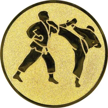 0365 Emblém karate