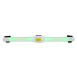 inSPORTline Petsaber Maxi LED 41/50 cm