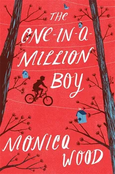 Cizojazyčná kniha One in A Million Boy - Monica Wood [EN] (2016, brožovaná)