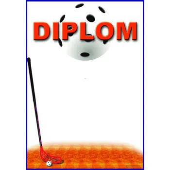 DF01a Diplom florbal
