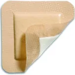 Molnlycke Mepilex Border 10 x 10 cm 5 ks