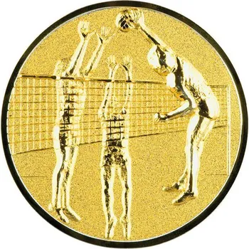 0435 Emblém volejbal