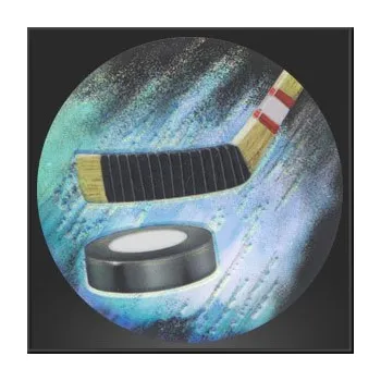 BE7007 Emblém hokej