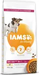 IAMS Dog Senior Small & Medium Chicken