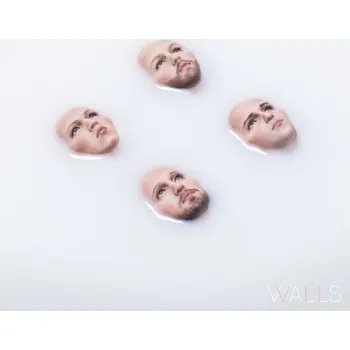 Zahraniční hudba Walls - Kings of Leon [LP]