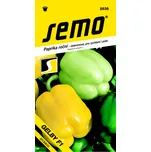 SEMO Gelby F1 paprika roční 15 ks