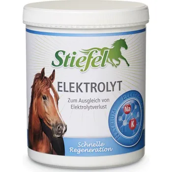 Stiefel Elektrolyt 3 kg