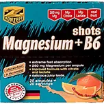 Z-KONZEPT NUTRITION Magnesium + B6 Shots 20 ampulí Příchuť: pomeranč