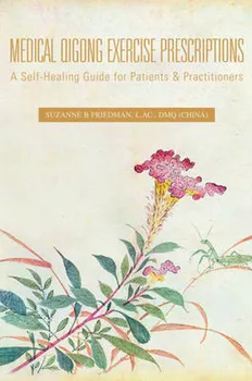 Medical Qigong Exercise Prescriptions: A Self-Healing Guide for Patients and Practitioners - S. B. Friedman, L. Dmq [EN] (2006, brožovaná)