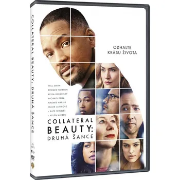 DVD film DVD Collateral Beauty: Druhá šance (2017)