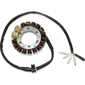 Elektroinstalace pro motocykl Honda XR 650 R 2000-2007 stator alternátoru (USA Electrosport ESG443)