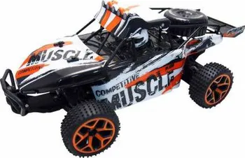 RC model auta Amewi X-Knight Extreme D5 Sand Buggy RTR 1:18