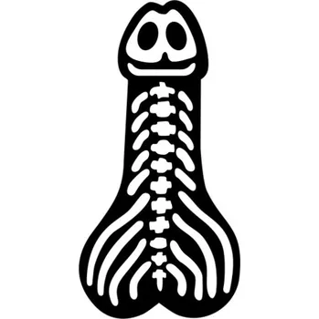 Samolepicí dekorace na vozidlo Samolepka kostěný penis na auto a motorku, tuning nálepka (1687)