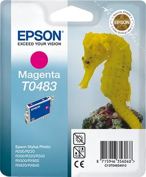 Originální Epson T0483 (C13T04834010)