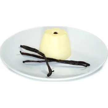 Kostera Puding vanilkový Balení: Sáček 100g