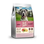 Best Breeder Adult Salmon/Potato