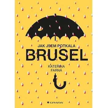 Jak jsem potkala Brusel - Kateřina…