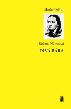 Kniha Divá Bára - Božena Němcová (2011) [E-kniha]