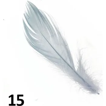 Peříčka na nehty č.15 - 5 ks