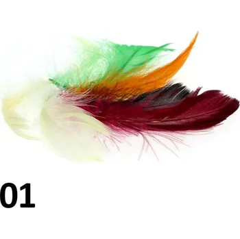 Peříčka na nehty č.01 - 5 ks