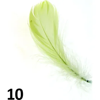 Peříčka na nehty č.10 - 5 ks