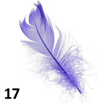 Peříčka na nehty č.17 - 5 ks