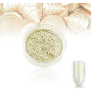 Přípravek na nehty Pyl na nehty SHELL effect 05 (A)