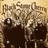 Zahraniční hudba Black Stone Cherry - Black Stone Cherry [LP] (Coloured)