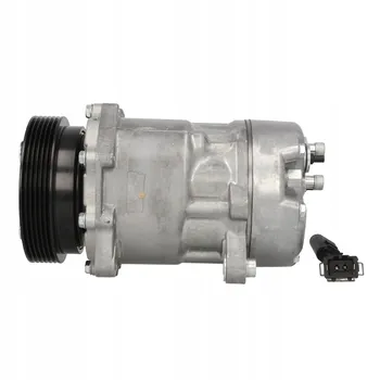 Delphi TSP0159060