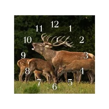 Hodiny E‑myslivost.cz EM1126 Myslivecké hodiny - Jelen s laněmi 30 x 30 cm, 400 g