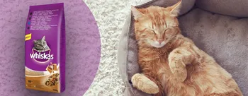 whiskas granule a kočka