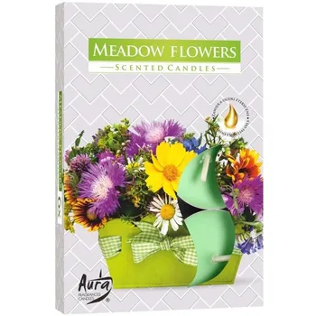 Bispol Aura čajová vonná svíčka 6 ks