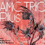 AMC Trio Plus With Regina Carter - AMC…