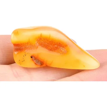 Přírodní kámen Výběrový jantar (Litva, Balt) 3,3g