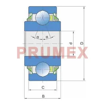 FKL Q 203 PP.AH05 ložisko