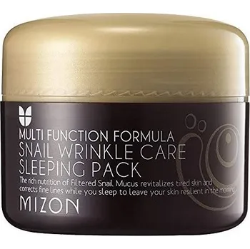 Pleťová maska Mizon Snail Wrinkle Care Sleeping Pack pleťová maska s filtrátem hlemýždího sekretu 50% 80 ml