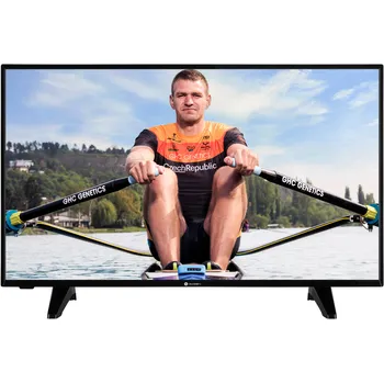 Televizor Gogen 32" LED (32P181T)