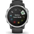 Chytré hodinky Garmin Fenix 6S Glass Silver/Black Band