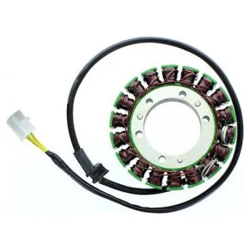 Elektroinstalace pro motocykl Honda VT 750 C Shadow 2004-2009 stator alternátoru (USA Electrosport ESG758)