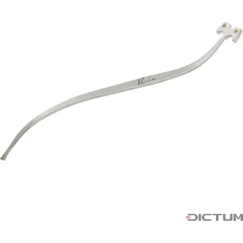 Housle Dictum 700123 - Stavěč duše cello