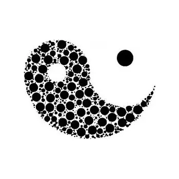 ARTEMISS Jing a jang - plastová šablona 167 (29x29cm) Rozměr: G 29x29cm