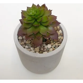 umělá květina Umělá Echeveria zelené 10cm - Do interiéru