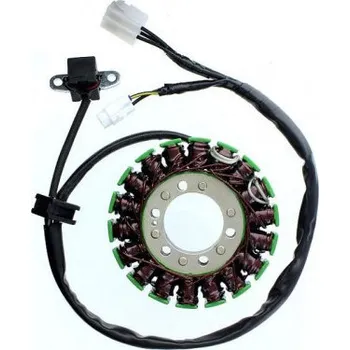 Elektroinstalace pro motocykl Suzuki SFV 650 Gladius 2009-2014 stator alternátoru (USA Electrosport ESG793)