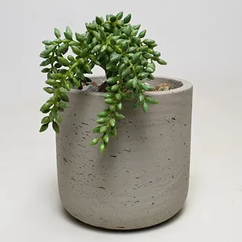 umělá květina Umělý sukulent Sedum zelený 17cm - Do interiéru