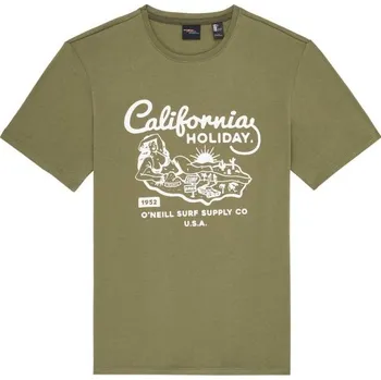 Pánské tričko Recenze O'Neill LM Holiday tmavě zelené