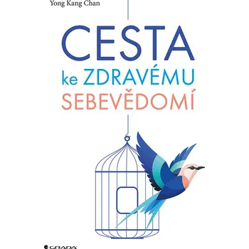 Osobní rozvoj Cesta ke zdravému sebevědomí - Yong Kang Chan (2019, brožovaná)