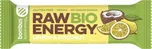 Bombus Raw Energy Bio 50 g