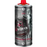 Svijanský rytíř 12° 2 l